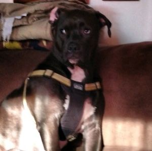 Meet your Posher, Tim